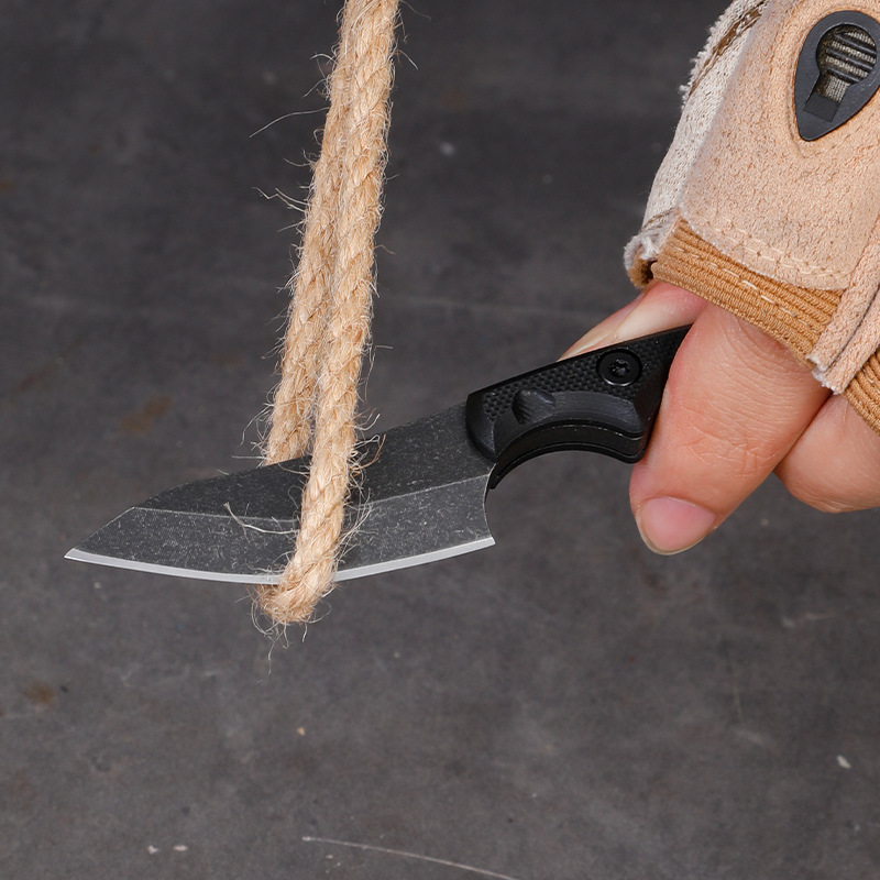 5CR15 Stainless Steel Small Fi - Edc Carry Fixed Blade ulasan dan harga